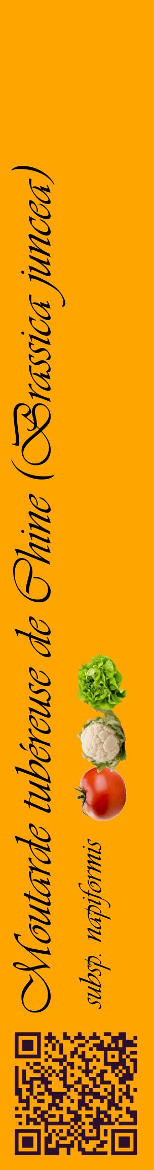 Étiquette de : Brassica juncea subsp. napiformis - format c - style noire22_basiqueviv avec qrcode et comestibilité simplifiée