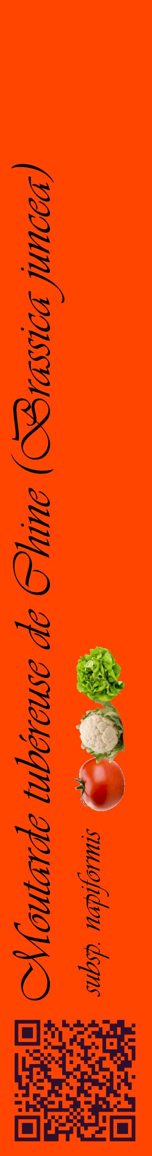 Étiquette de : Brassica juncea subsp. napiformis - format c - style noire26_basiqueviv avec qrcode et comestibilité simplifiée