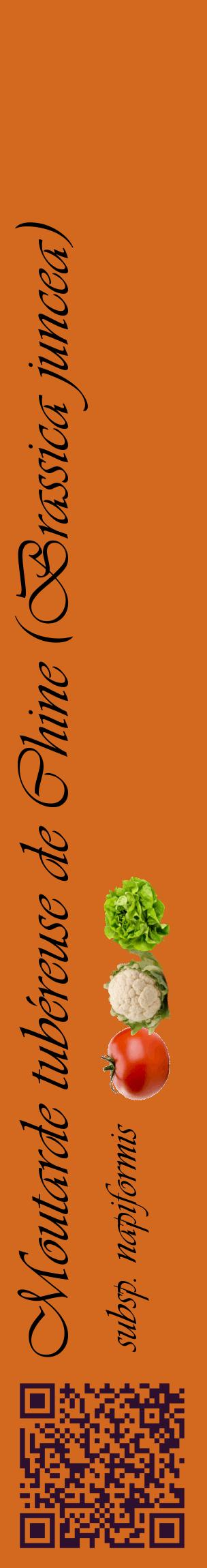 Étiquette de : Brassica juncea subsp. napiformis - format c - style noire31_basiqueviv avec qrcode et comestibilité simplifiée