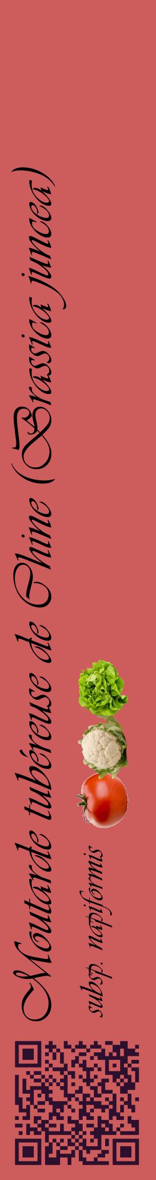 Étiquette de : Brassica juncea subsp. napiformis - format c - style noire35_basiqueviv avec qrcode et comestibilité simplifiée