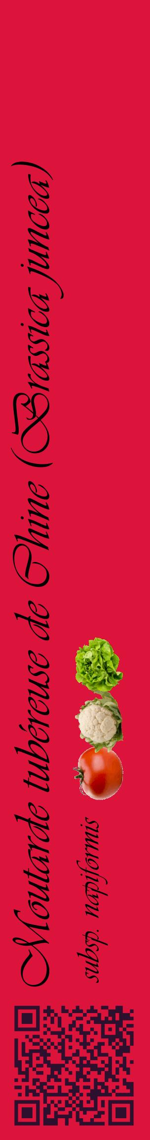 Étiquette de : Brassica juncea subsp. napiformis - format c - style noire36_basiqueviv avec qrcode et comestibilité simplifiée