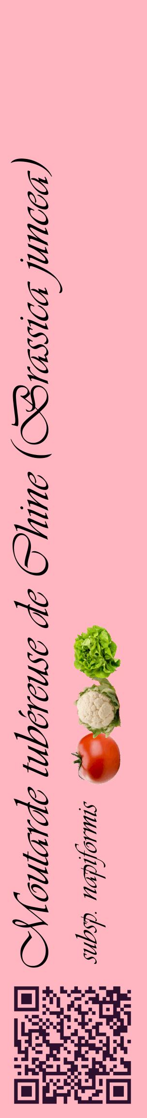 Étiquette de : Brassica juncea subsp. napiformis - format c - style noire41_basiqueviv avec qrcode et comestibilité simplifiée