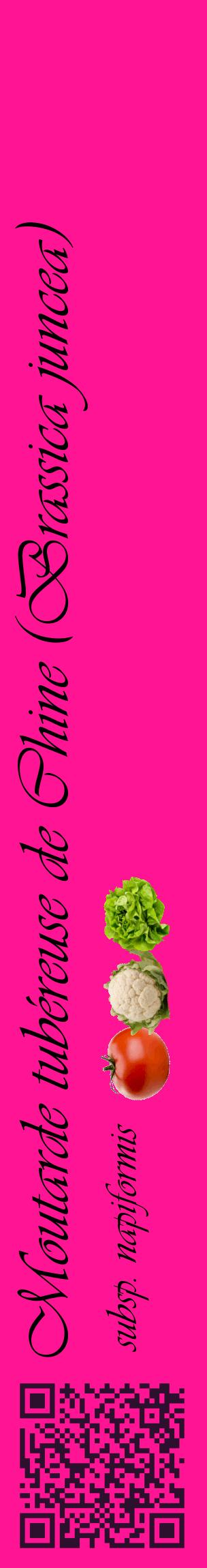Étiquette de : Brassica juncea subsp. napiformis - format c - style noire43_basiqueviv avec qrcode et comestibilité simplifiée