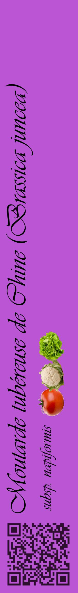 Étiquette de : Brassica juncea subsp. napiformis - format c - style noire50_basiqueviv avec qrcode et comestibilité simplifiée