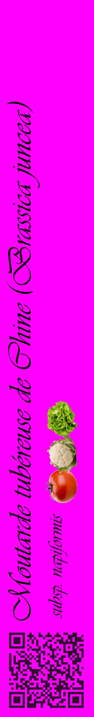 Étiquette de : Brassica juncea subsp. napiformis - format c - style noire51_basiqueviv avec qrcode et comestibilité simplifiée