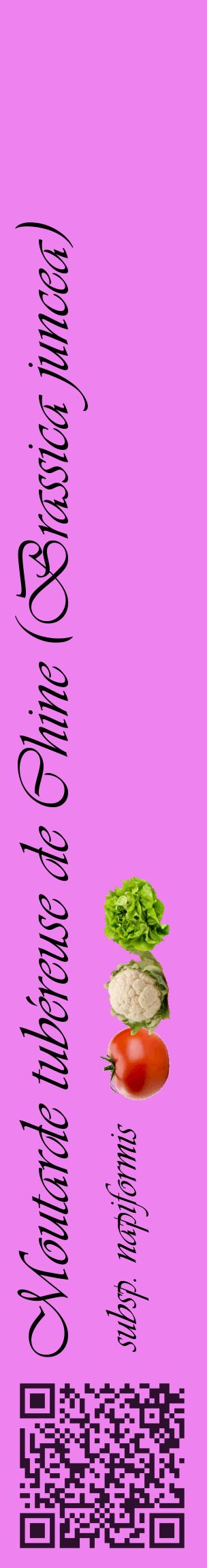Étiquette de : Brassica juncea subsp. napiformis - format c - style noire53_basiqueviv avec qrcode et comestibilité simplifiée