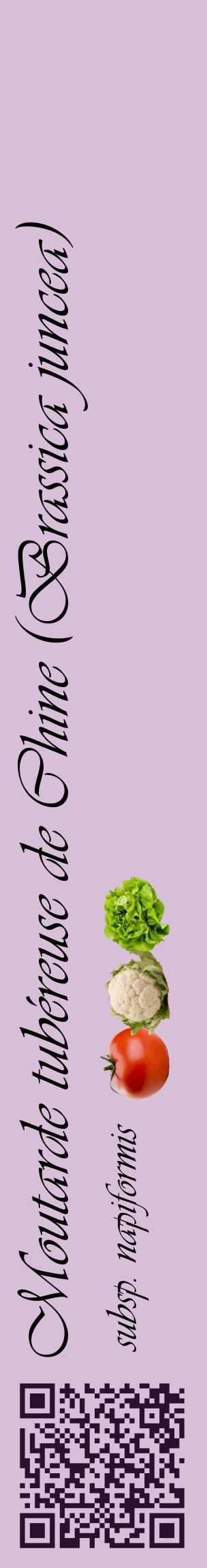 Étiquette de : Brassica juncea subsp. napiformis - format c - style noire54_basiqueviv avec qrcode et comestibilité simplifiée