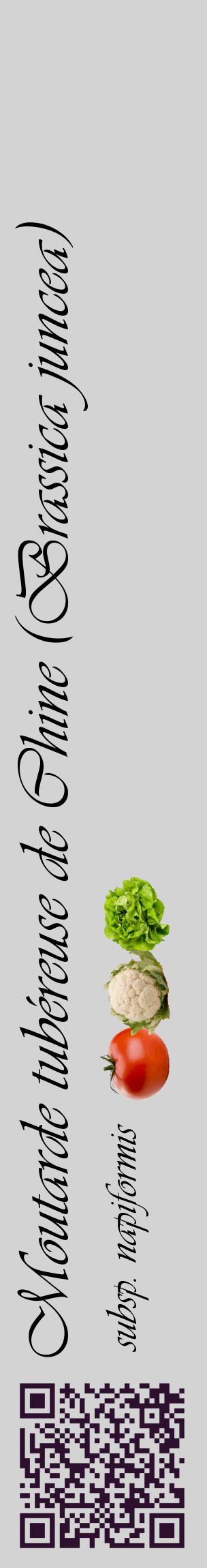 Étiquette de : Brassica juncea subsp. napiformis - format c - style noire56_basiqueviv avec qrcode et comestibilité simplifiée