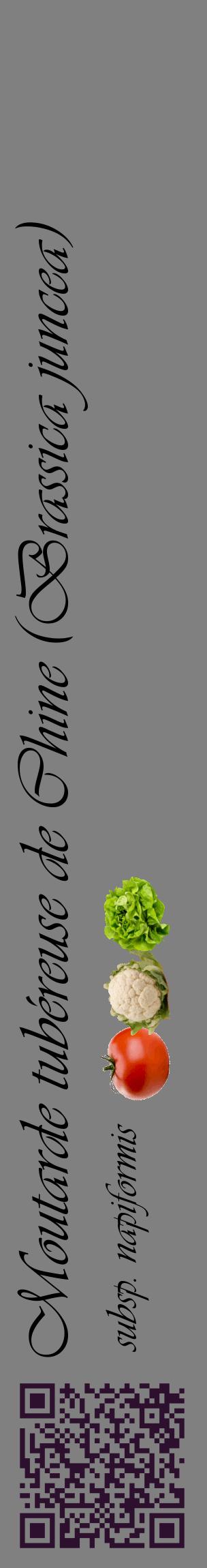 Étiquette de : Brassica juncea subsp. napiformis - format c - style noire57_basiqueviv avec qrcode et comestibilité simplifiée