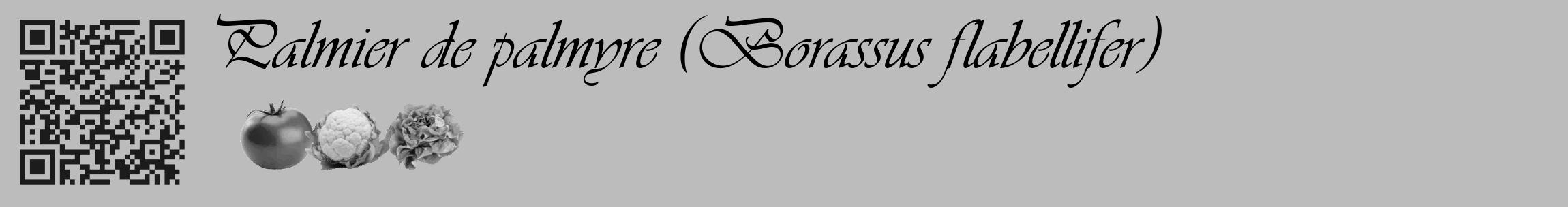 Étiquette de : Borassus flabellifer - format c - style noire1_basique_basiqueviv avec qrcode et comestibilité simplifiée