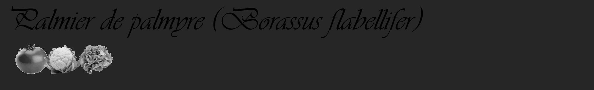 Étiquette de : Borassus flabellifer - format c - style noire29_basique_basiqueviv avec comestibilité simplifiée