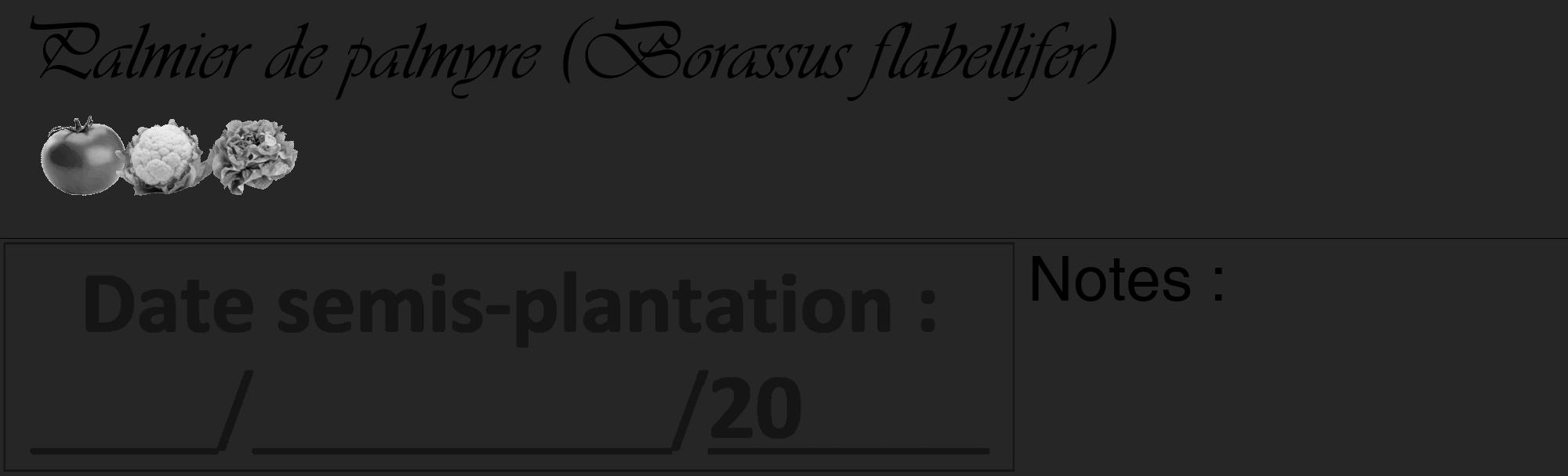 Étiquette de : Borassus flabellifer - format c - style noire29_basique_basiqueviv avec comestibilité simplifiée