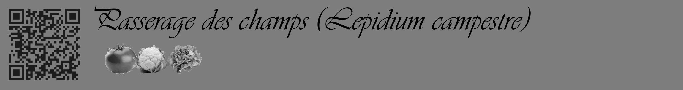 Étiquette de : Lepidium campestre - format c - style noire35_basique_basiqueviv avec qrcode et comestibilité simplifiée