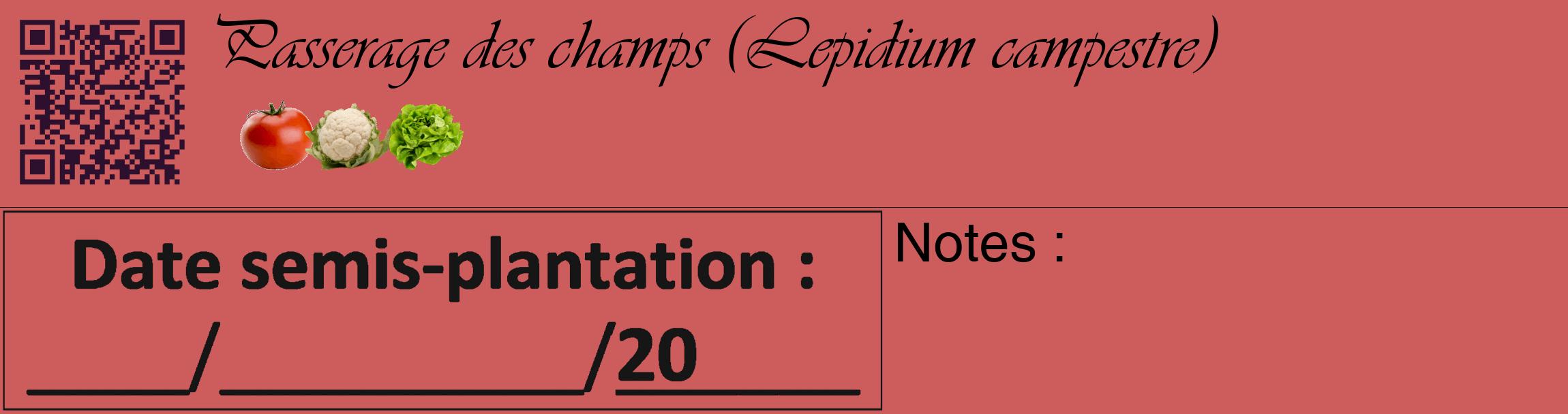 Étiquette de : Lepidium campestre - format c - style noire35_basique_basiqueviv avec qrcode et comestibilité simplifiée
