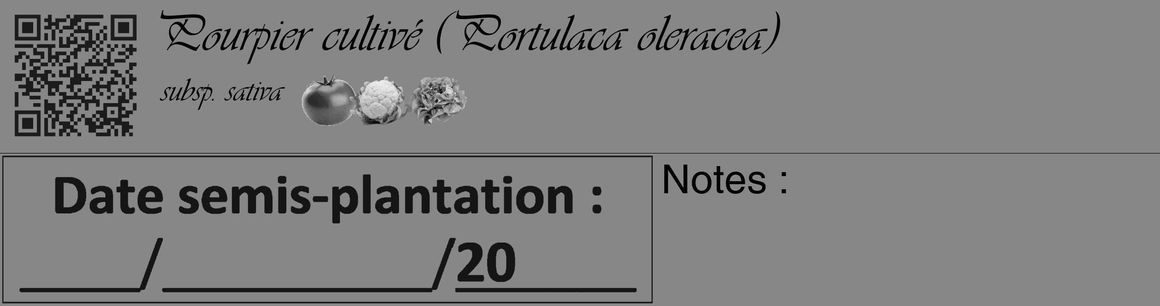 Étiquette de : Portulaca oleracea subsp. sativa - format c - style noire12_basique_basiqueviv avec qrcode et comestibilité simplifiée