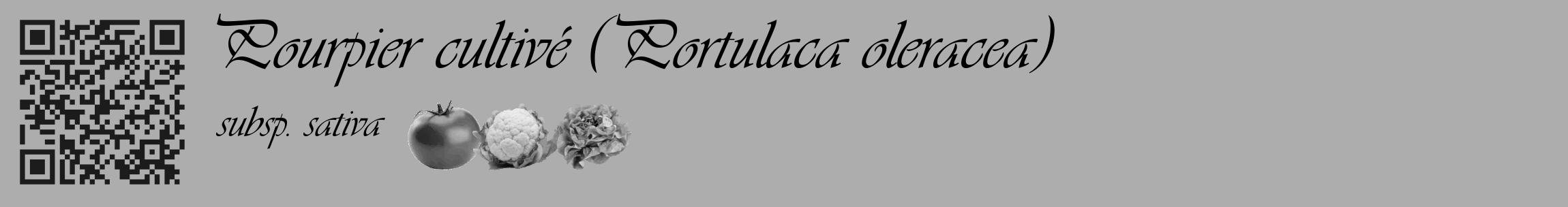 Étiquette de : Portulaca oleracea subsp. sativa - format c - style noire22_basique_basiqueviv avec qrcode et comestibilité simplifiée