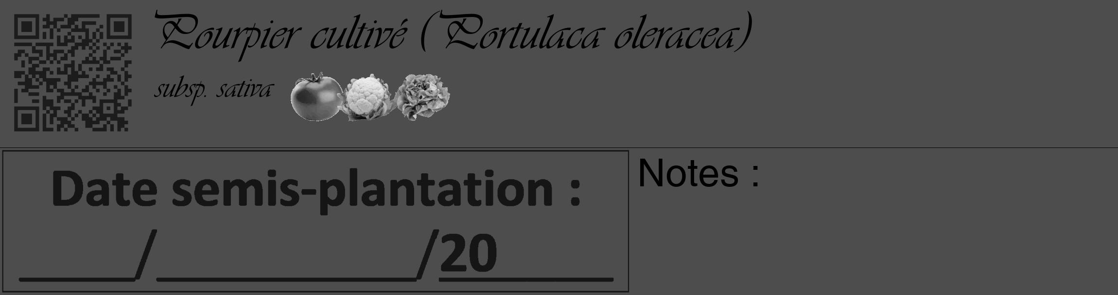Étiquette de : Portulaca oleracea subsp. sativa - format c - style noire28_basique_basiqueviv avec qrcode et comestibilité simplifiée