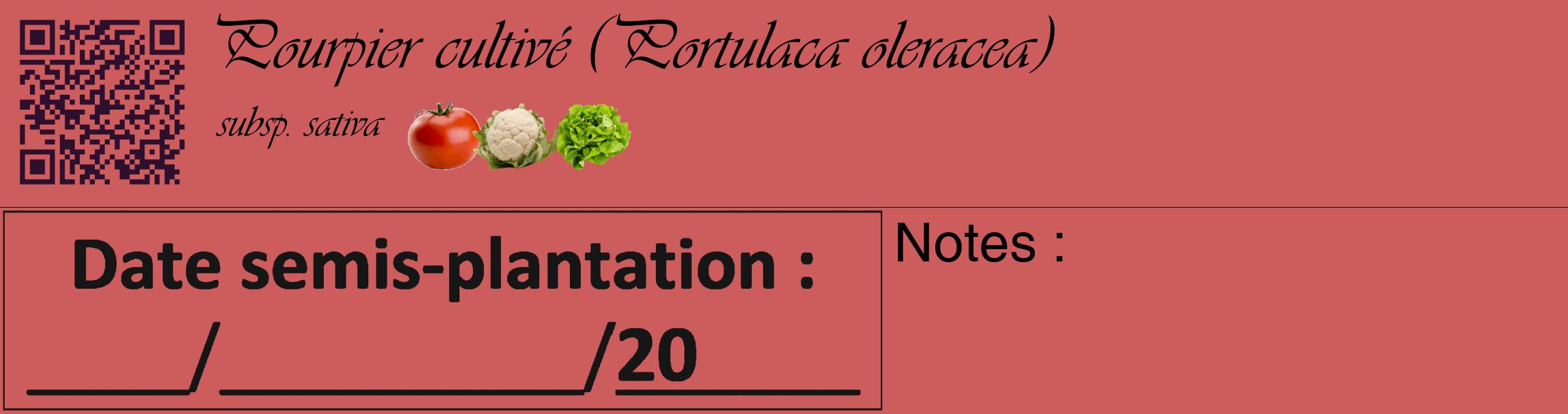 Étiquette de : Portulaca oleracea subsp. sativa - format c - style noire35_basique_basiqueviv avec qrcode et comestibilité simplifiée