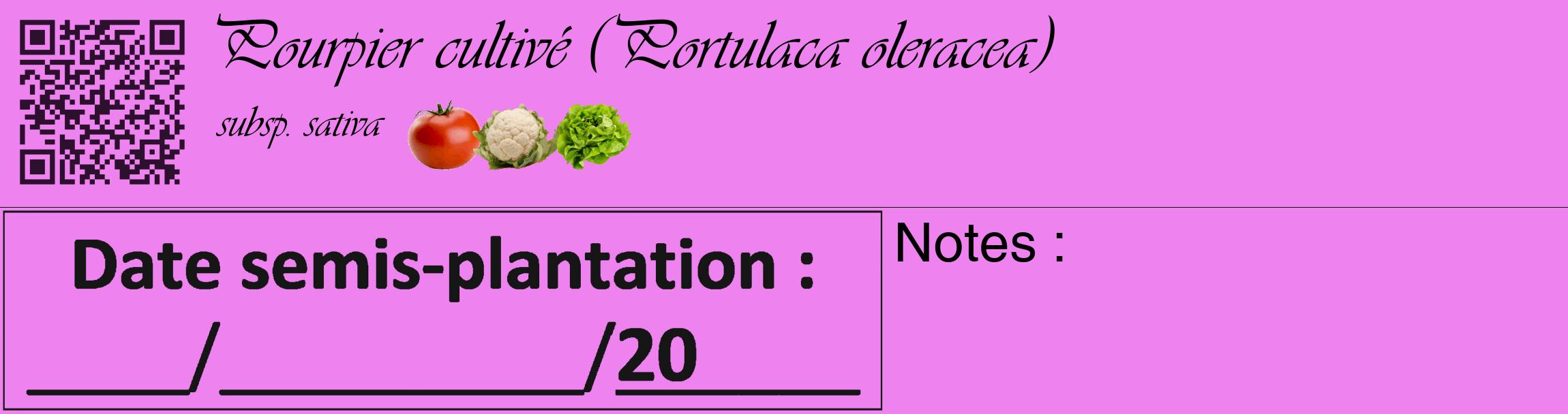 Étiquette de : Portulaca oleracea subsp. sativa - format c - style noire53_basique_basiqueviv avec qrcode et comestibilité simplifiée