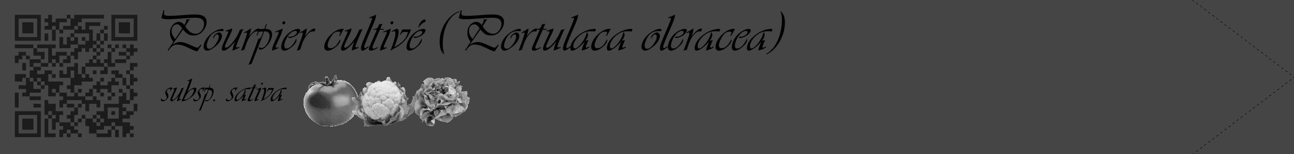 Étiquette de : Portulaca oleracea subsp. sativa - format c - style noire58simple_basique_basiqueviv avec qrcode et comestibilité simplifiée