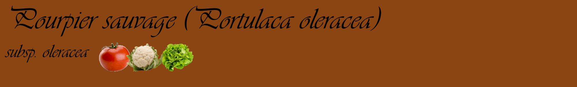 Étiquette de : Portulaca oleracea subsp. oleracea - format c - style noire30basique_basique_basiqueviv avec comestibilité simplifiée