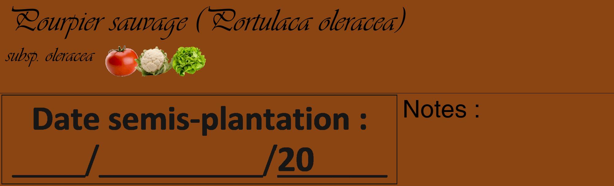 Étiquette de : Portulaca oleracea subsp. oleracea - format c - style noire30basique_basique_basiqueviv avec comestibilité simplifiée