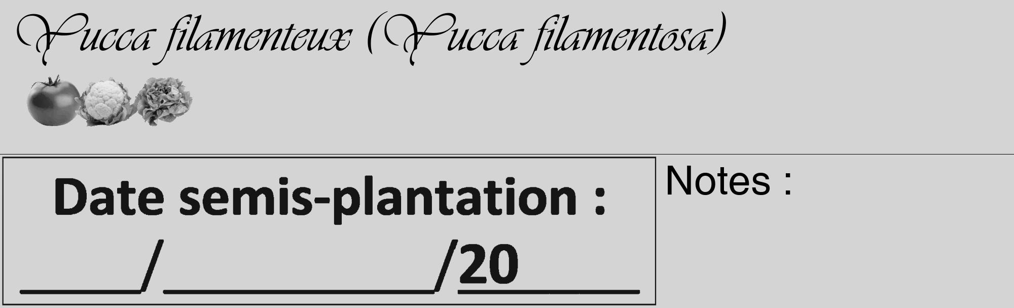 Étiquette de : Yucca filamentosa - format c - style noire40_basique_basiqueviv avec comestibilité simplifiée