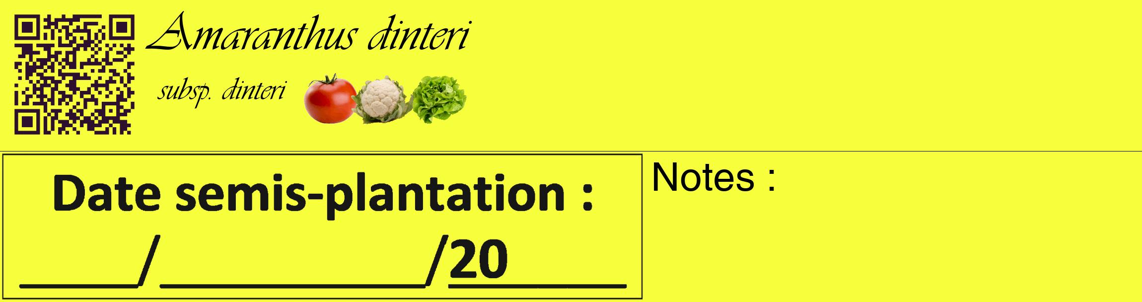 Étiquette de : Amaranthus dinteri subsp. dinteri - format c - style noire18_basique_basiqueviv avec qrcode et comestibilité simplifiée
