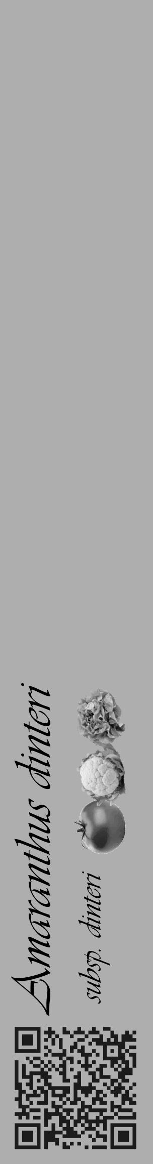 Étiquette de : Amaranthus dinteri subsp. dinteri - format c - style noire53_basique_basiqueviv avec qrcode et comestibilité simplifiée - position verticale
