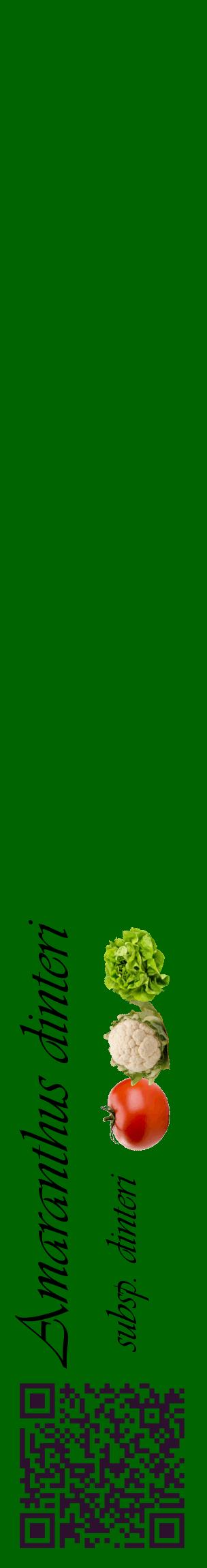 Étiquette de : Amaranthus dinteri subsp. dinteri - format c - style noire8_basiqueviv avec qrcode et comestibilité simplifiée