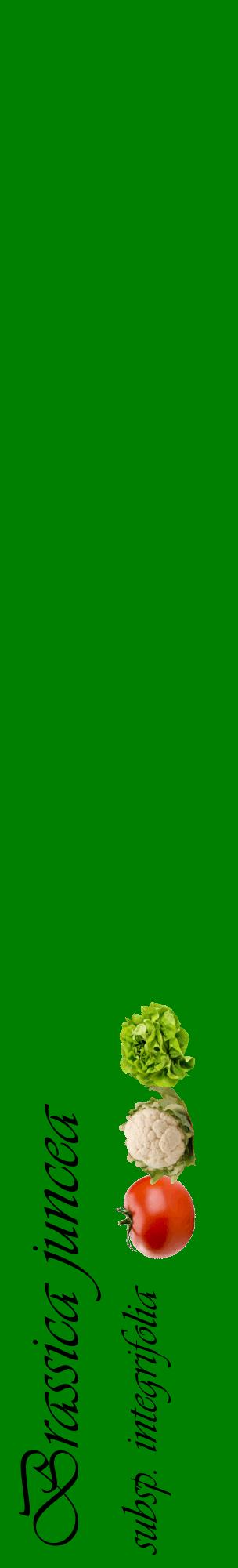Étiquette de : Brassica juncea subsp. integrifolia - format c - style noire9_basiqueviv avec comestibilité simplifiée