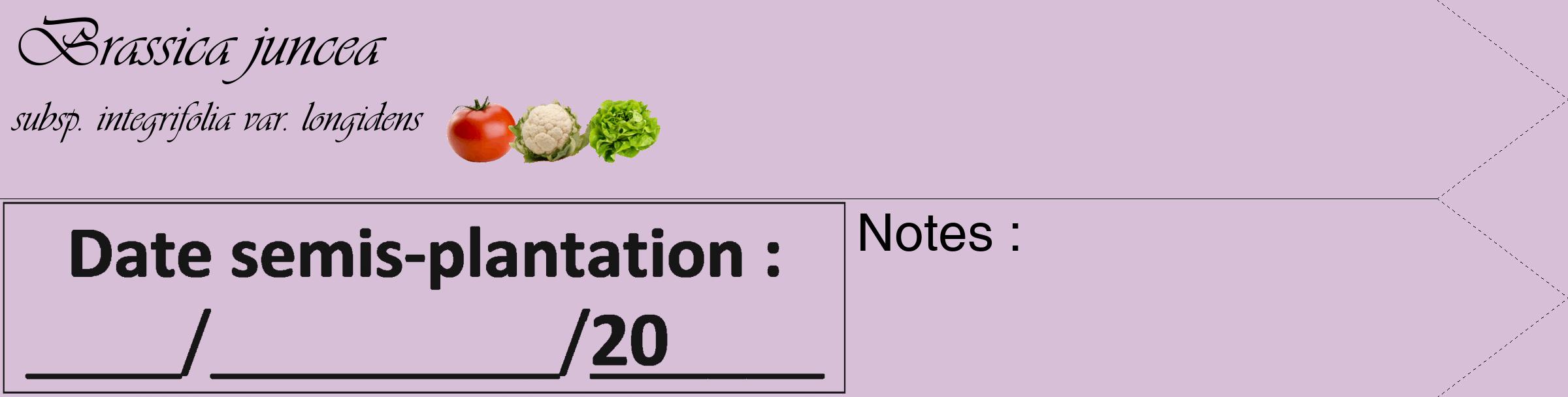 Étiquette de : Brassica juncea subsp. integrifolia var. longidens - format c - style noire54_simple_simpleviv avec comestibilité simplifiée