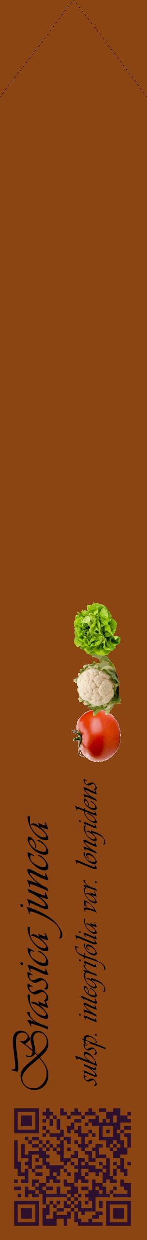 Étiquette de : Brassica juncea subsp. integrifolia var. longidens - format c - style noire30_simpleviv avec qrcode et comestibilité simplifiée