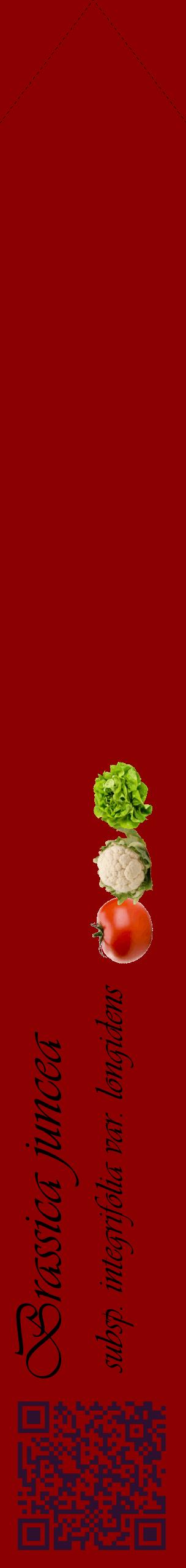 Étiquette de : Brassica juncea subsp. integrifolia var. longidens - format c - style noire34_simpleviv avec qrcode et comestibilité simplifiée