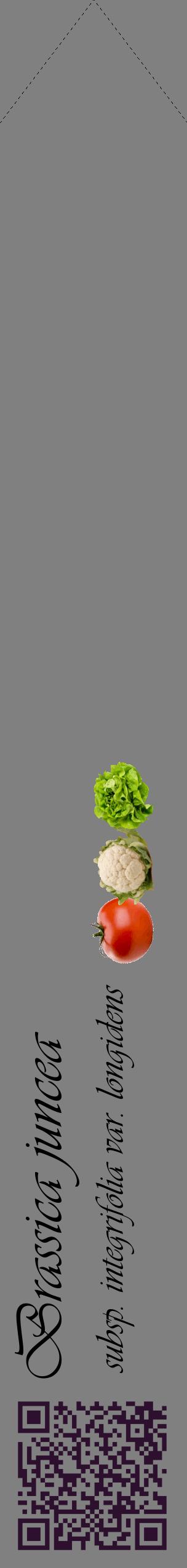 Étiquette de : Brassica juncea subsp. integrifolia var. longidens - format c - style noire57_simpleviv avec qrcode et comestibilité simplifiée