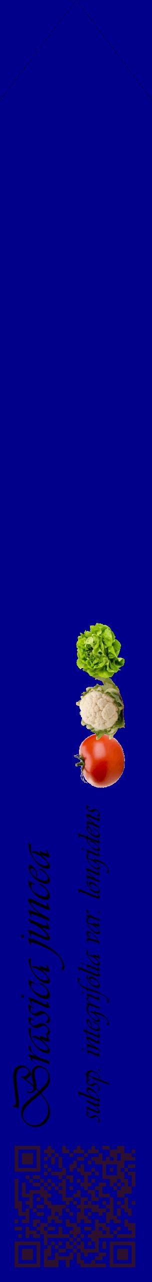 Étiquette de : Brassica juncea subsp. integrifolia var. longidens - format c - style noire7_simpleviv avec qrcode et comestibilité simplifiée