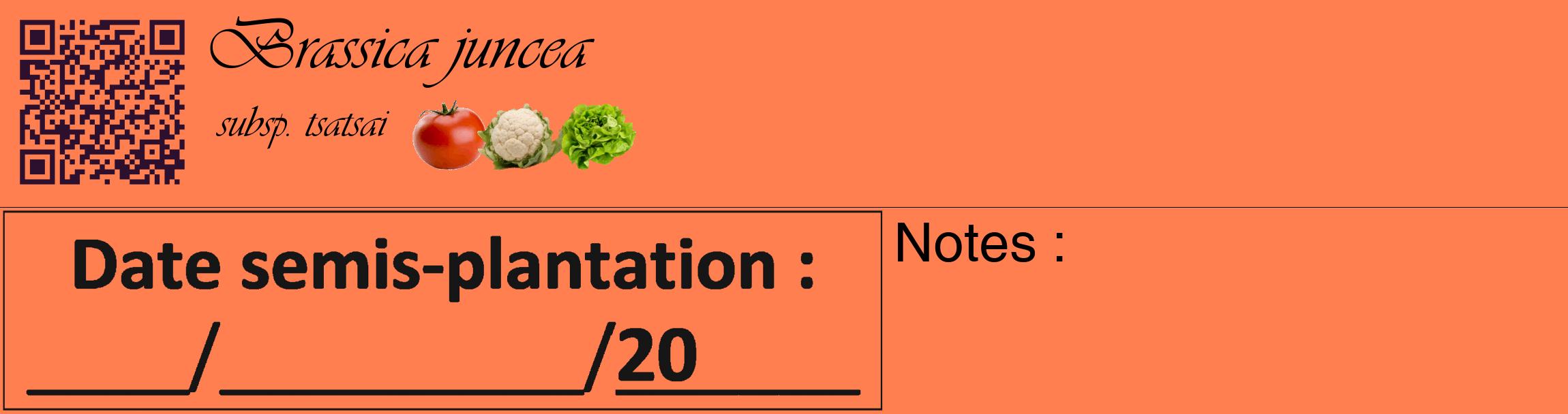 Étiquette de : Brassica juncea subsp. tsatsai - format c - style noire24_basique_basiqueviv avec qrcode et comestibilité simplifiée