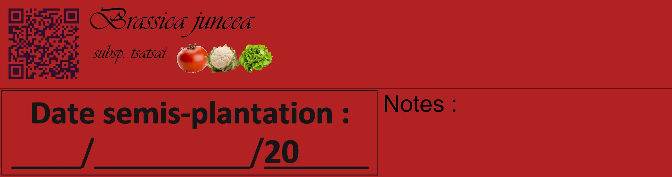 Étiquette de : Brassica juncea subsp. tsatsai - format c - style noire28_basique_basiqueviv avec qrcode et comestibilité simplifiée