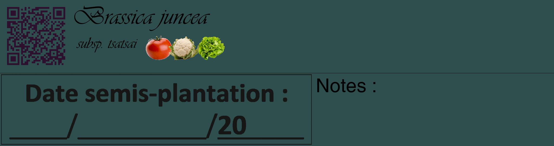 Étiquette de : Brassica juncea subsp. tsatsai - format c - style noire58_basique_basiqueviv avec qrcode et comestibilité simplifiée
