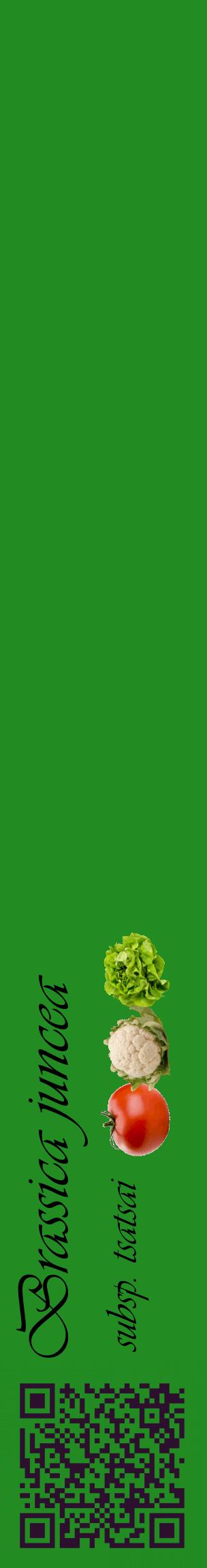 Étiquette de : Brassica juncea subsp. tsatsai - format c - style noire10_basiqueviv avec qrcode et comestibilité simplifiée