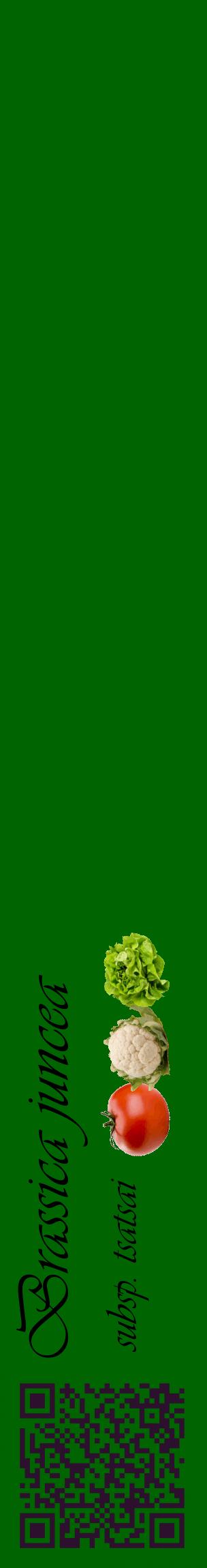 Étiquette de : Brassica juncea subsp. tsatsai - format c - style noire8_basiqueviv avec qrcode et comestibilité simplifiée