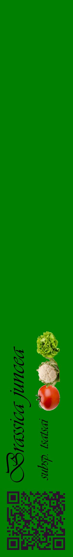 Étiquette de : Brassica juncea subsp. tsatsai - format c - style noire9_basiqueviv avec qrcode et comestibilité simplifiée