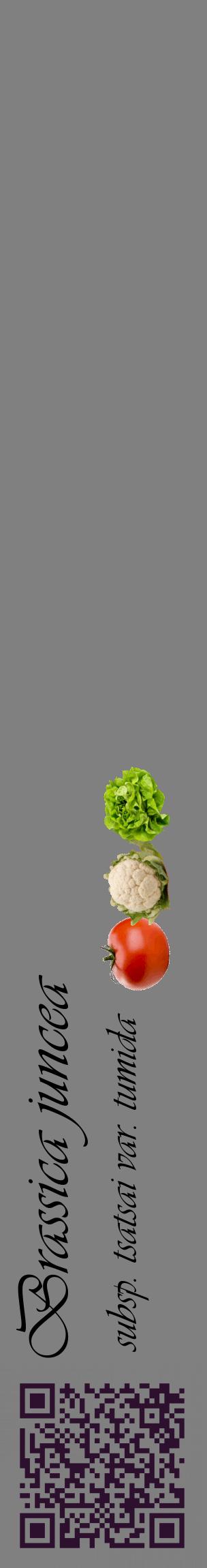 Étiquette de : Brassica juncea subsp. tsatsai var. tumida - format c - style noire57_basiqueviv avec qrcode et comestibilité simplifiée