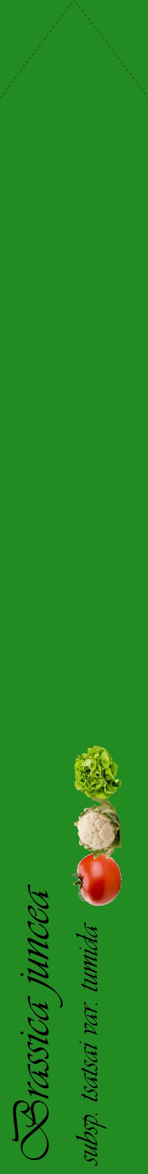 Étiquette de : Brassica juncea subsp. tsatsai var. tumida - format c - style noire10_simpleviv avec comestibilité simplifiée
