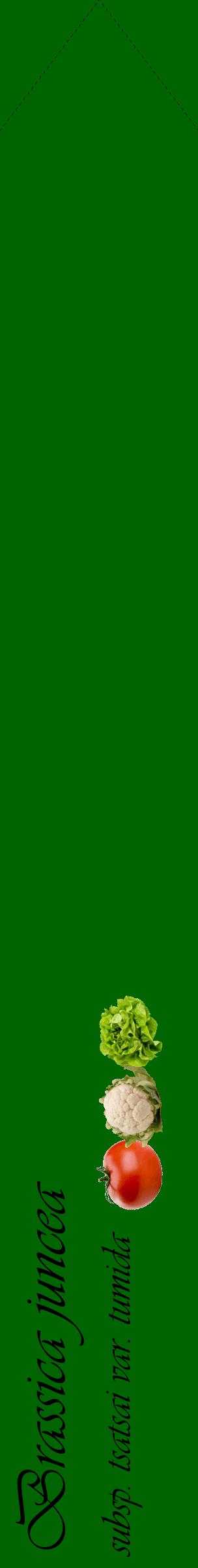 Étiquette de : Brassica juncea subsp. tsatsai var. tumida - format c - style noire8_simpleviv avec comestibilité simplifiée