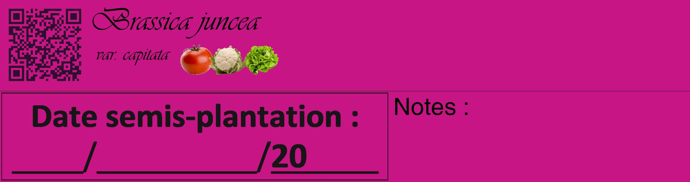 Étiquette de : Brassica juncea var. capitata - format c - style noire45_basique_basiqueviv avec qrcode et comestibilité simplifiée