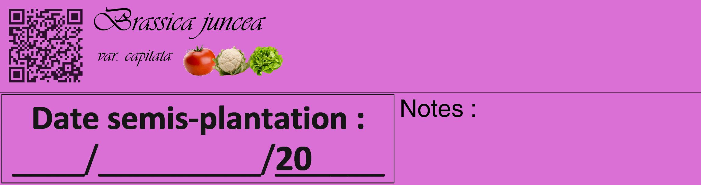 Étiquette de : Brassica juncea var. capitata - format c - style noire52_basique_basiqueviv avec qrcode et comestibilité simplifiée