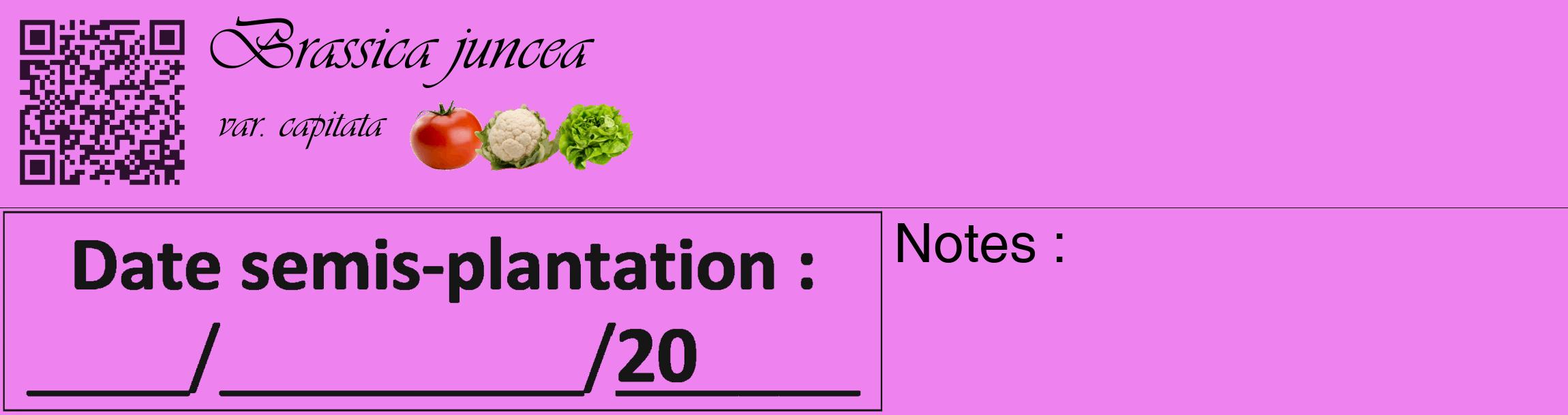 Étiquette de : Brassica juncea var. capitata - format c - style noire53_basique_basiqueviv avec qrcode et comestibilité simplifiée