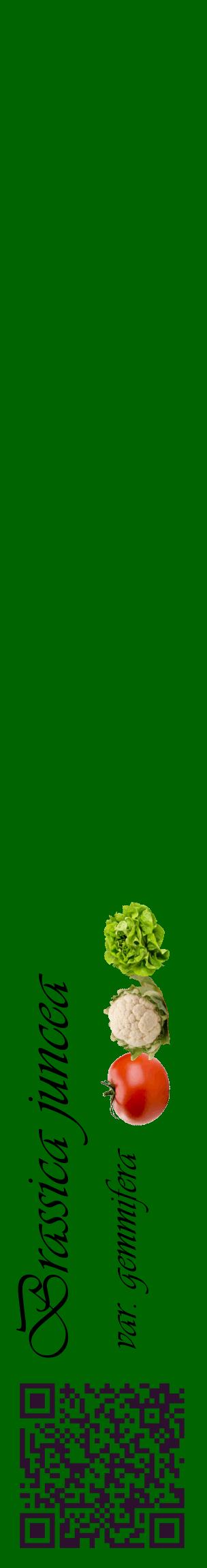 Étiquette de : Brassica juncea var. gemmifera - format c - style noire8_basiqueviv avec qrcode et comestibilité simplifiée