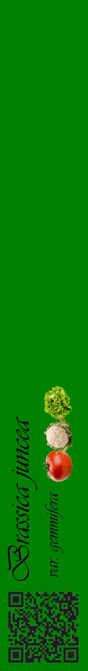 Étiquette de : Brassica juncea var. gemmifera - format c - style noire9_basiqueviv avec qrcode et comestibilité simplifiée